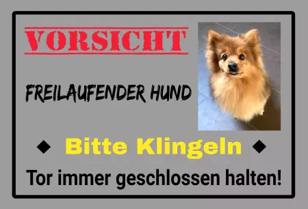 Hunde Freilaufender Hund Bitte klingeln Bild
