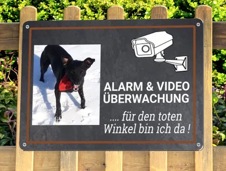 Hunde .. für den toten Winkel ... Bild
