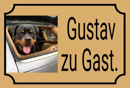 Hunde Gustav zu Gast. Bild