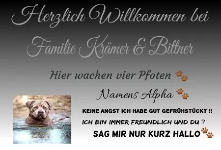 Hunde Herzlich Willkommen bei Bild