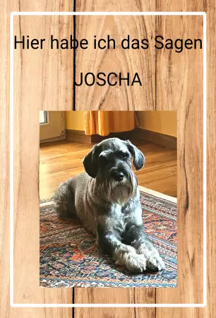Hunde Hier habe ich das Sagem JOSCHA Bild