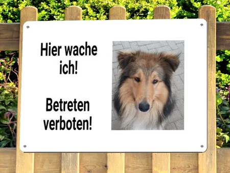 Hunde Hier wache ich Bild