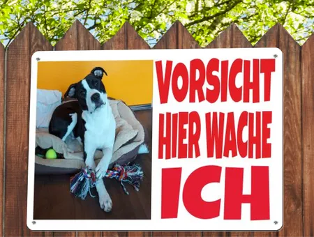 Hunde Hier wache ich Bild
