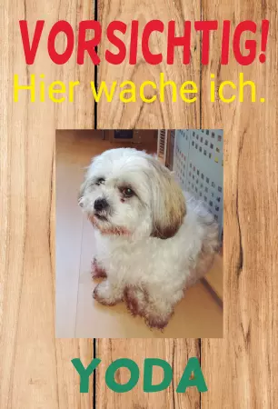 Hunde Hier wache ich Bild