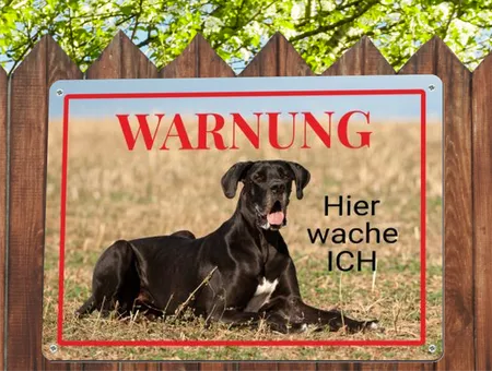 Hunde Hier wache ich Bild