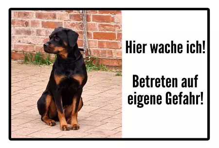 Hunde Hier wache ich! Bild