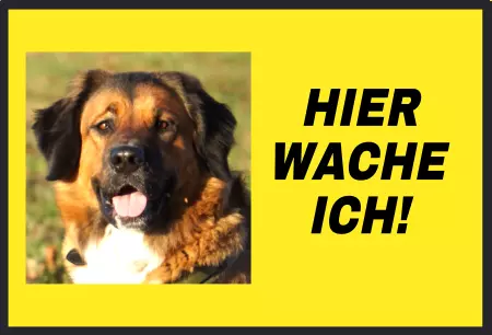 Hunde Hier wache ich! Bild