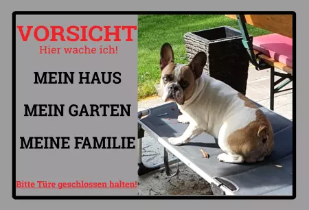 Hunde Hier wache ich! Bild