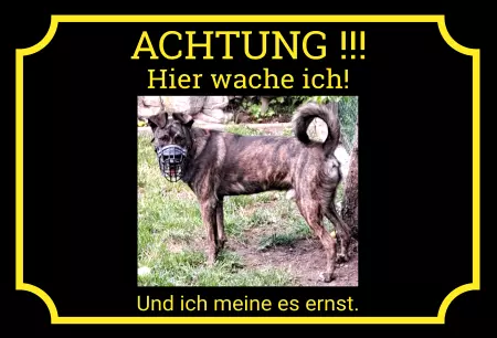 Hunde Hier wache ich! Bild