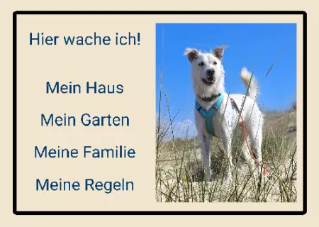 Hunde Hier wache ich! Bild