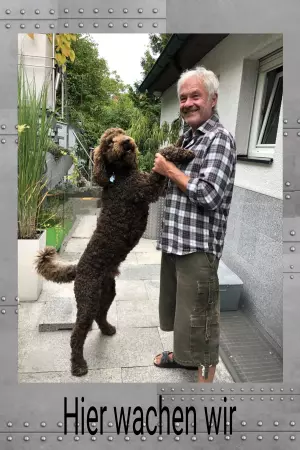 Hunde Hier wachen wir Bild