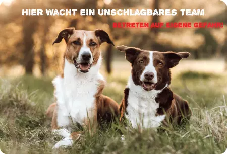 Hunde Hier wacht ein unschlagbares Team Bild