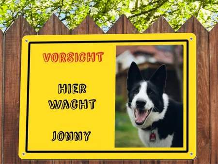 Hunde Hier wacht Jonny Bild