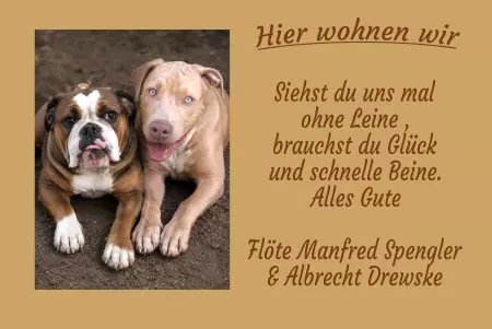 Hunde Hier wohnen wir Bild