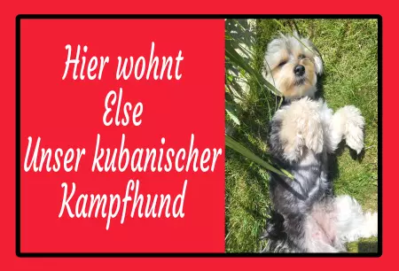 Hunde Hier wohnt Else Unser kubanischer Kampfhund Bild