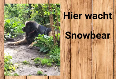 Hunde Hier wohnt Snowbear Bild