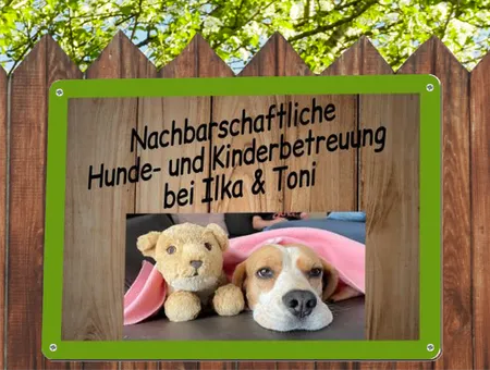 Hunde Hunde- und Kinderbetreuung Bild