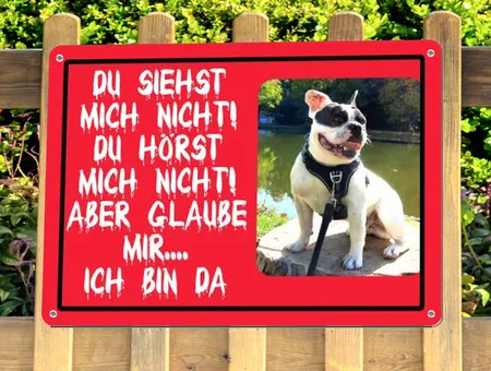 Hunde ICH BIN DA..... Bild