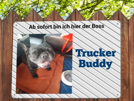 Hunde Ich bin der Boss Bild