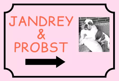 Hunde Jandrey & Probst Bild