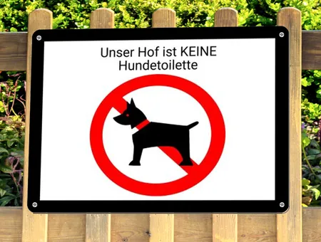 Hunde Keine Hundetoilette Bild
