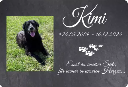 Hunde Kimi Bild