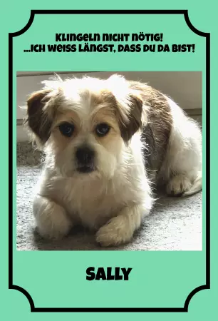 Hunde Klingeln nicht nötig! Bild