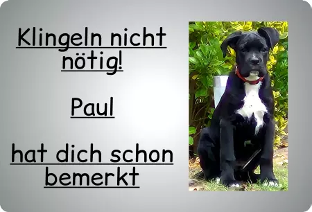Hunde Klingeln nicht nötig! Bild