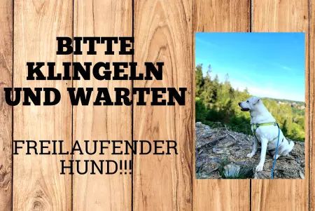 Hunde KLINGELN UND WARTEN Bild