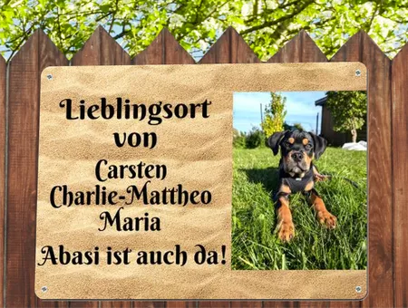 Hunde Lieblingsort Bild