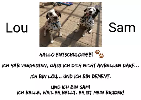 Hunde LOU & SAM Bild