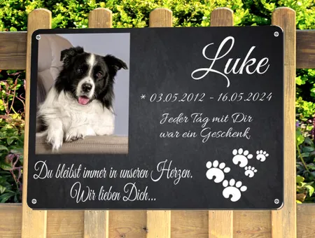 Hunde Luke Bild