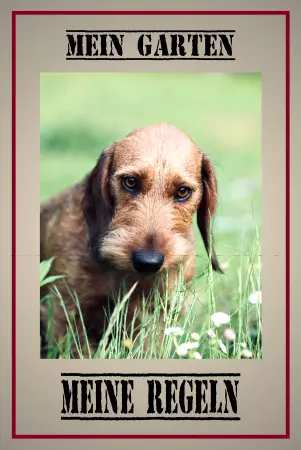  Hunde MEIN GARTEN - MEINE REGELN Bild