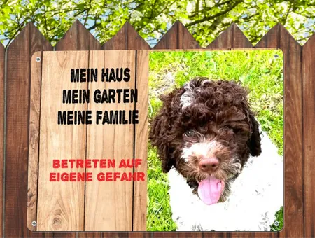 Hunde Mein Haus.. Bild