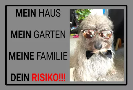 Hunde MEIN HAUS .... Bild