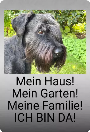 Hunde Mein Haus! Bild