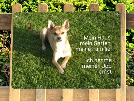  Hunde Mein Haus, mein Garten Bild