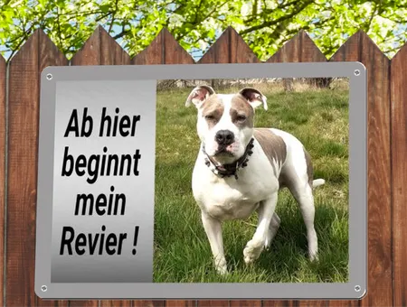 Hunde Mein Revier Bild