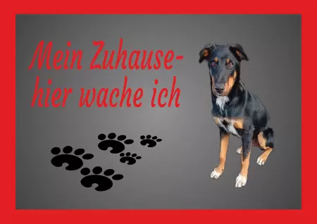 Hunde Mein Zuhause Bild