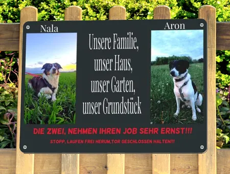  Hunde Nala & Aron Bild