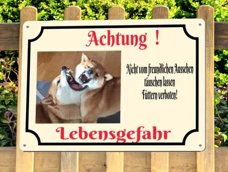 Hunde Nicht täuschen lassen! Bild