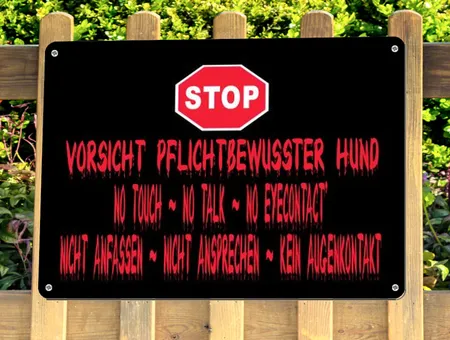 Hunde Pflichtbewußter Hund Bild