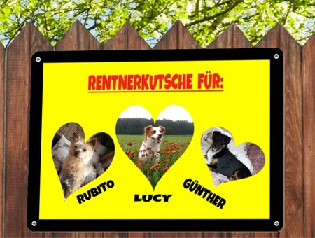 Hunde Rentnerkutsche Bild
