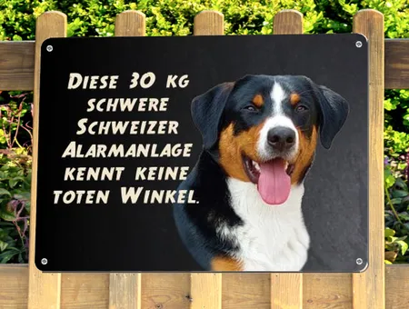 Hunde Schweizer Alarmanlage Bild