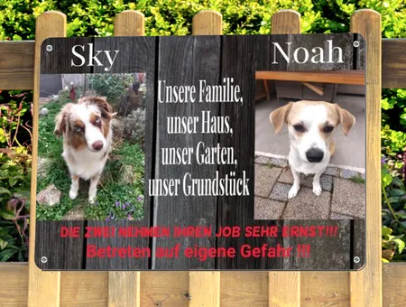 Hunde Sky & Noah Bild