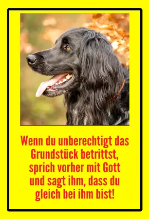 Hunde Sprich vorher mit Gott Bild