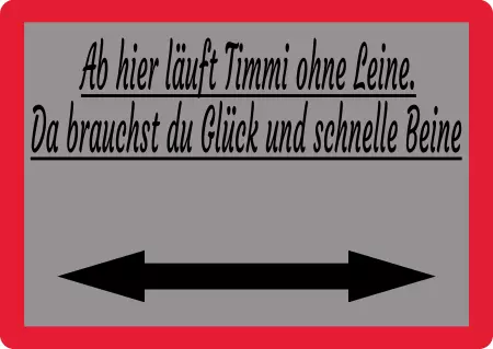 Hunde Timmi ohne Leine Bild