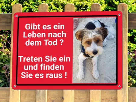 Hunde Tod nach dem Leben? Bild