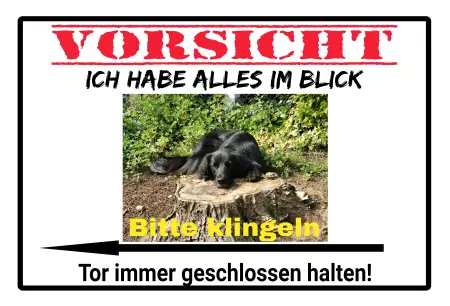Hunde Tor geschlossen halten Bild