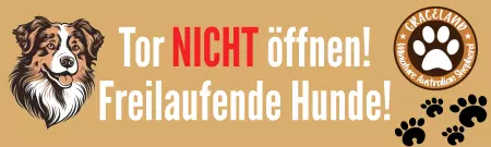 Hunde Tor NICHT öffnen! Bild